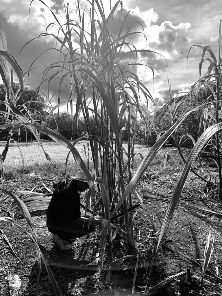 Inspiration kunstværk