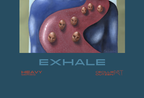 EXHALE_print_cecillie_outzen_bund